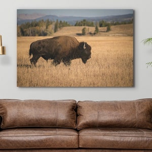 Bison Canvas Wall Art Buffalo Print Framed Artwork Decor Western Nature Yosemite Southwestern Canvas