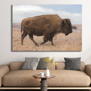 Bison Canvas Art Buffalo Print Decor Wall Art American Landscape Southwestern Bedoom Decor