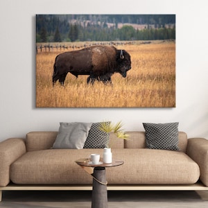 Bison Artwork Buffalo Canvas Art Print Framed Wall Art Decor Western Nature Canvas