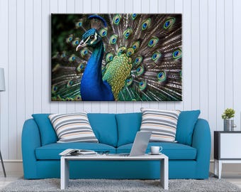Puede incluir: Un pavo real con sus plumas extendidas en forma de abanico. El pavo real es azul y verde con un cuello largo y una cabeza pequeña. Las plumas son marrones, verdes y azules con manchas iridiscentes.