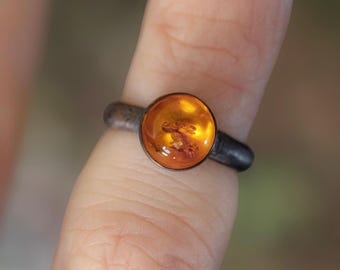 May include: A close-up of a ring featuring a large, round amber stone with an insect inclusion. The amber is set in a dark metal band. The ring is on a finger, with a blurred background.