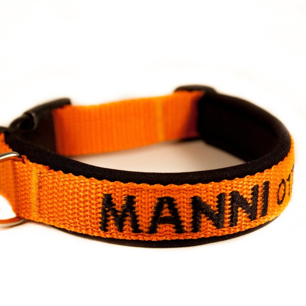 Dog collar with name/phone number