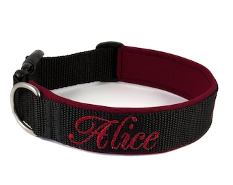 Dog collar with name/phone number