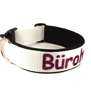dog collar with name / phone number