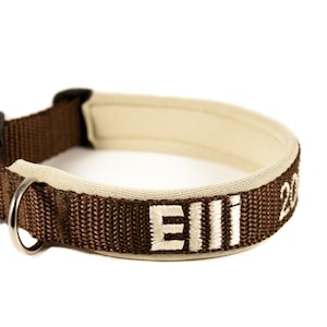 dog collar with name / phone number