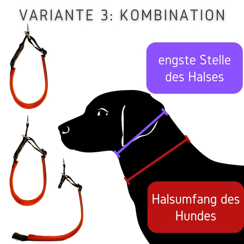 Hundehalsband mit Name / Telefonnummer Bild 6