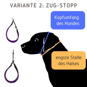 Hundehalsband mit Name / Telefonnummer Bild 5