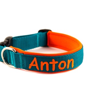 Dog collar with name/phone number