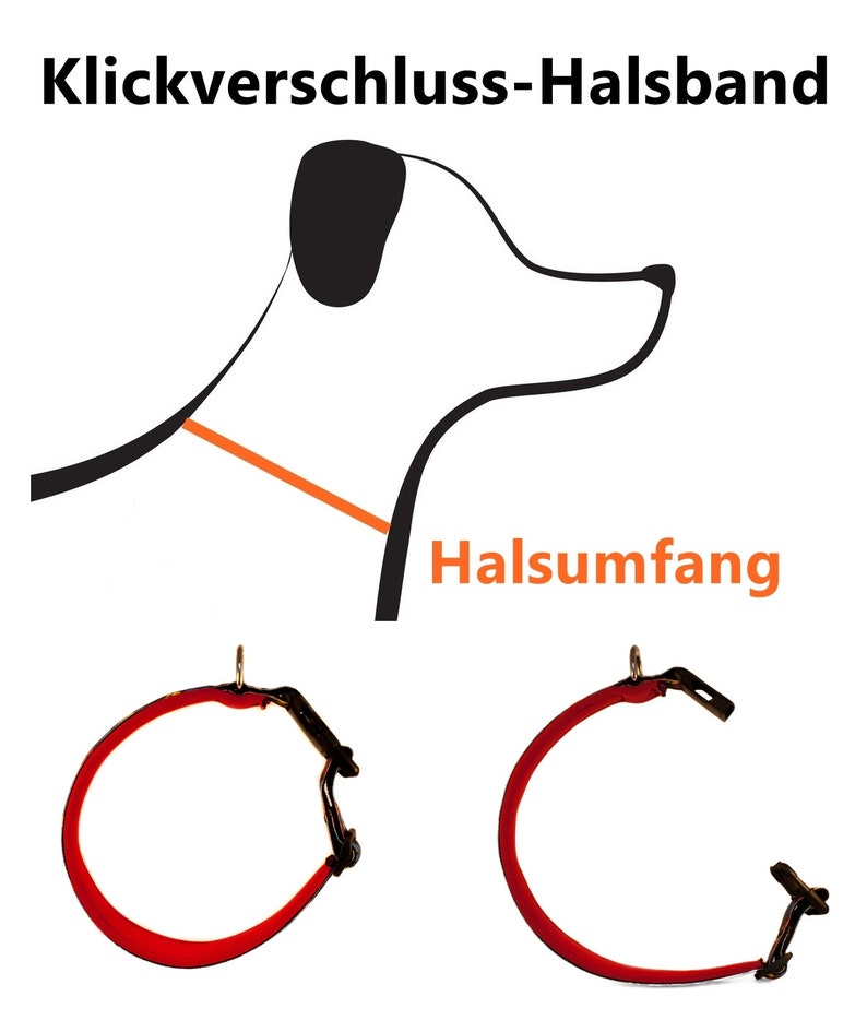 Dog collar with name / phone number Etsy