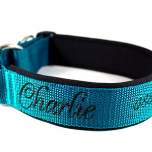 Dog collar with name/phone number