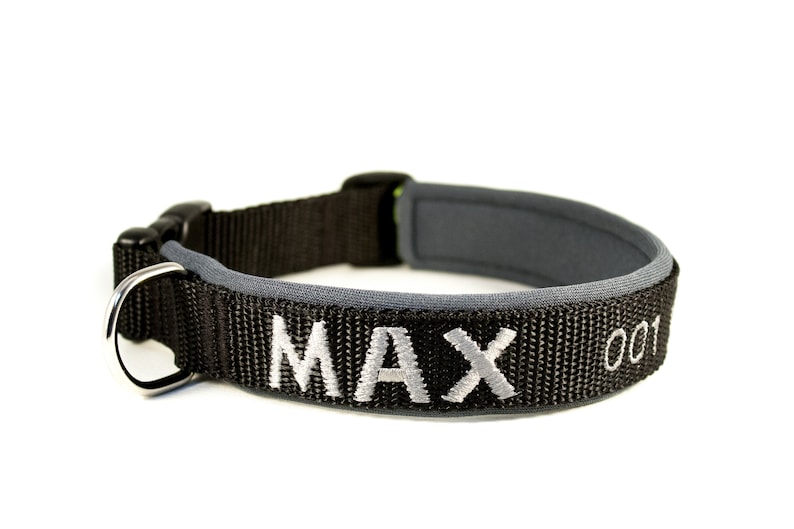 Dog collar with name / phone number Etsy Dog collar with name / phone number Etsy