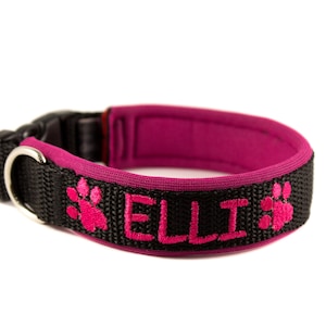 dog collar with name / phone number