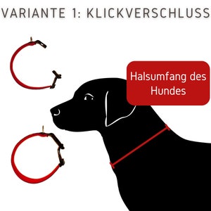 Hundehalsband mit Name / Telefonnummer Bild 4
