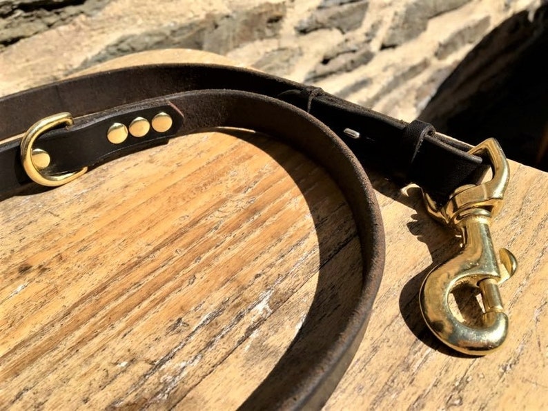 Repurposed Horse Reins Dog Lead Etsy