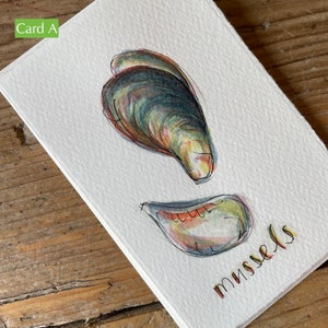 Lindos cartões de nota de conchas de mexilhão pintados à mão