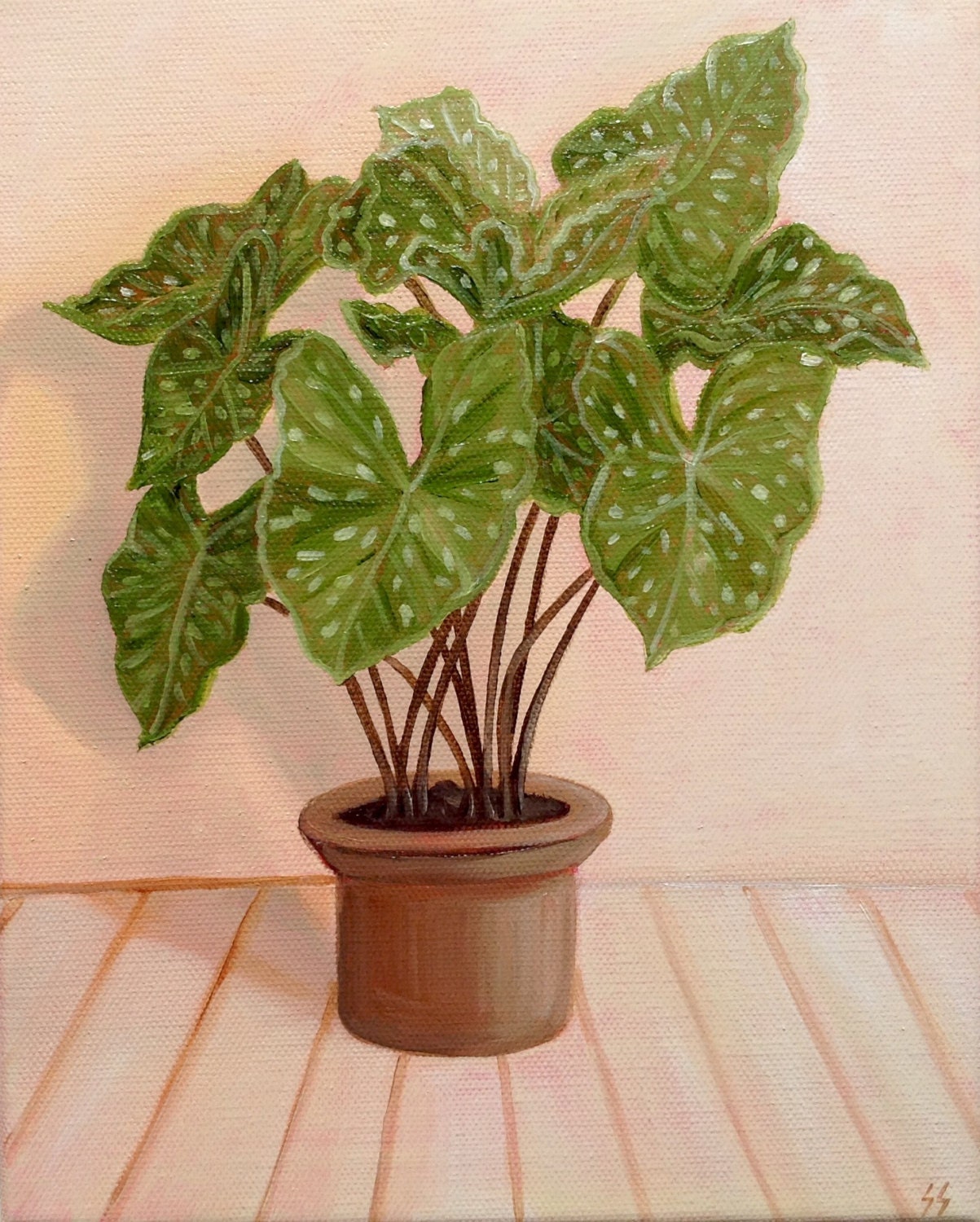 Original Oil Painting, Potted Elephant Ears, Still Life, 8x10 Canvas - Etsy