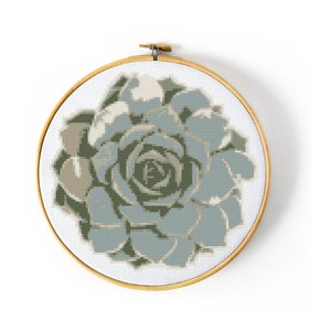 Grey Echeveria Succulent Plant Cross Stitch Pattern