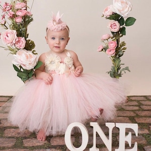 Blush Pink Cream Butterfly Birthday Tutu Dress,  1st Birthday Dress, Cake Smash Dress, Spring Garden Butterfly Dress
