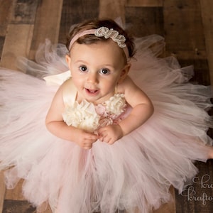 Blush Pink Cream Butterfly Birthday Tutu Dress,  1st Birthday Dress, Cake Smash Dress, Spring Garden Butterfly Dress