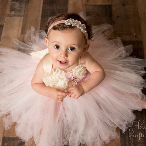 Blush Pink Cream Butterfly Birthday Tutu Dress 1st Birthday Etsy