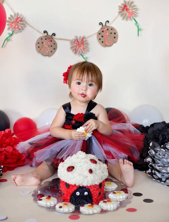 ladybug birthday dress Isabella Party Dress – THA Dressing main image 0