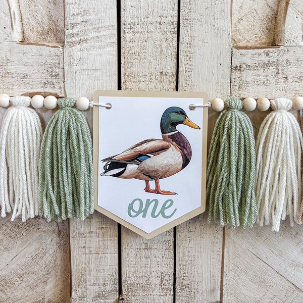 ONE Lucky Duck 1st Birthday Boy High Chair Banner, Cake Smash Backdrop Banner, First Birthday
