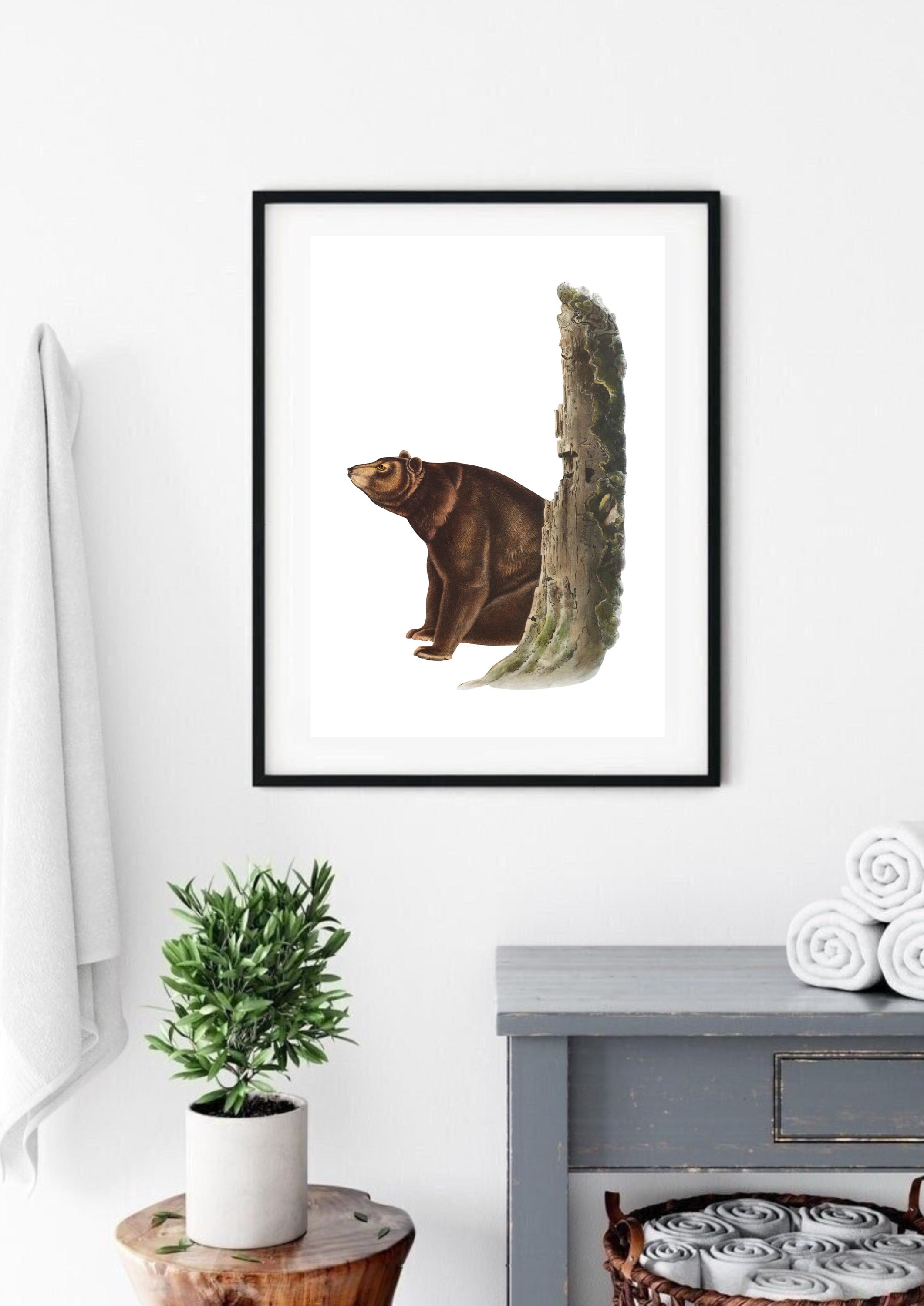 Vintage Bear in Woods Print, Natural History Illustration WALL ART ...