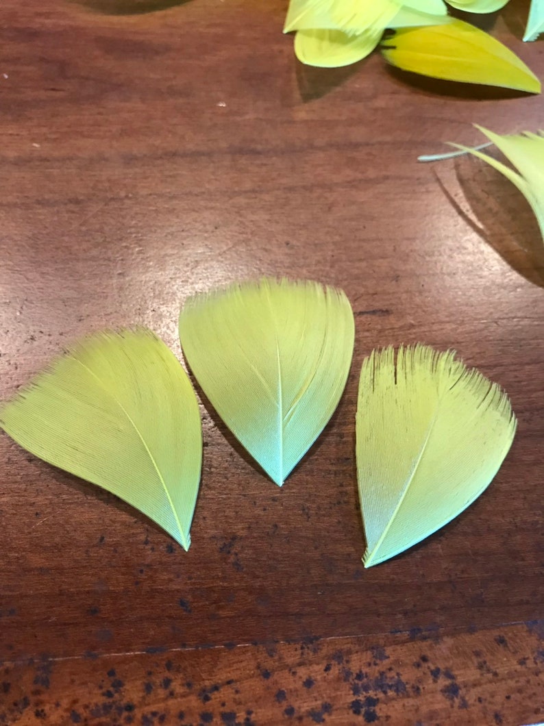 tutorial Make Hawaiian feather hatband tutorial for lei humu papa kit incl feathers needle thread,nipper base key directions