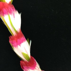 May include: A pink, white, and green feather lei. The lei is made of feathers that are arranged in a circular pattern.