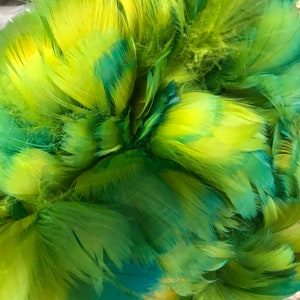 custom 1 ounce goose coquille feather for lei hulu FREE SHIP DOMESTIC hawaiian feather lei hulu feathers