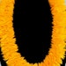 Hawaiian Lei Goose feathers lei Hulu Complete Kit queen kaahumanu feather lei poepoe kit includes instructions