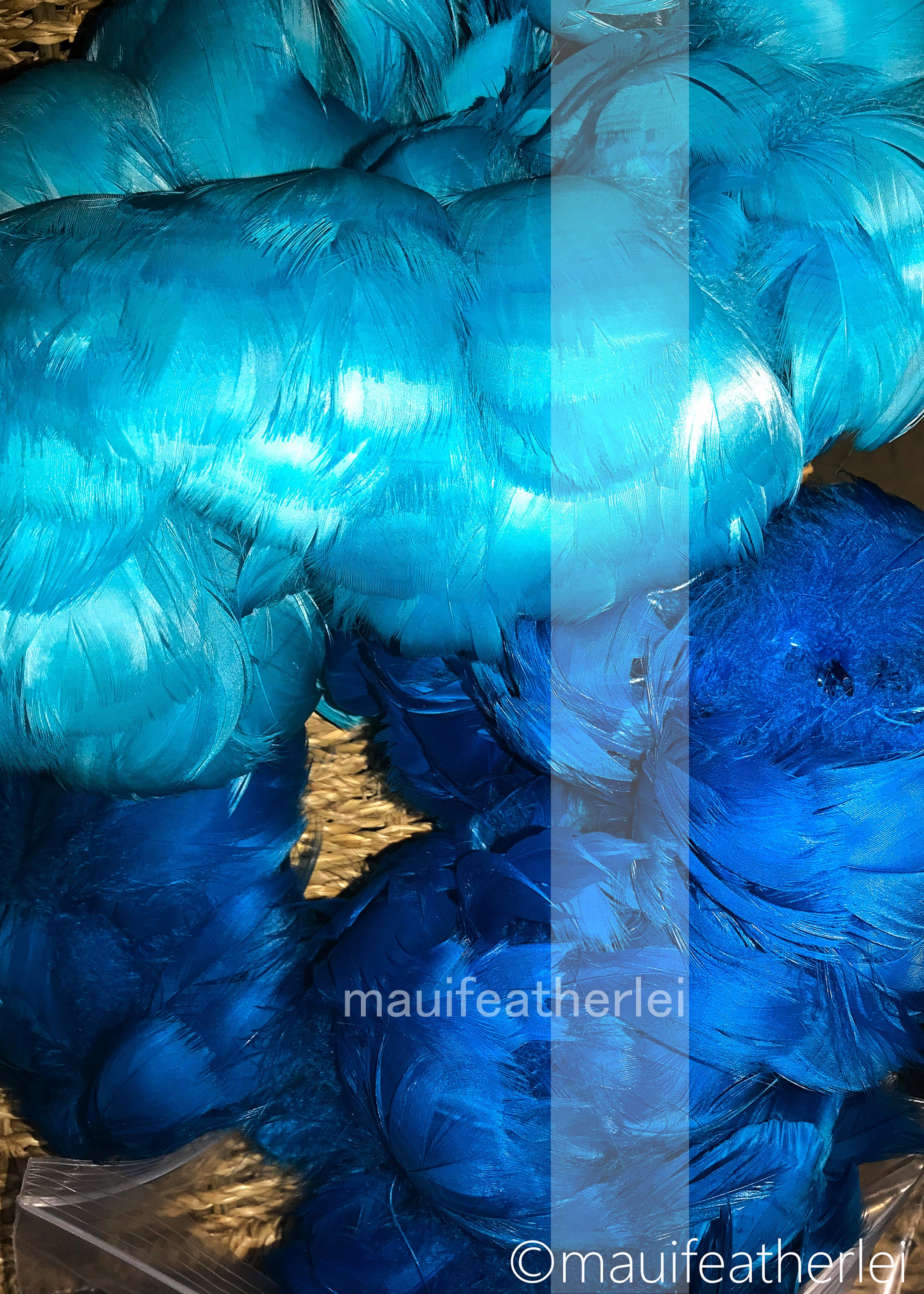 Original Featherless Boa - Blue and Hot Pink – Happy Boa: Faux Feather Boa