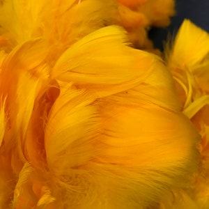 feather lei supply Hawaiian Feather Lei hulu, goose .feathers dyed Ilima 4 ounces Prime goose coquille