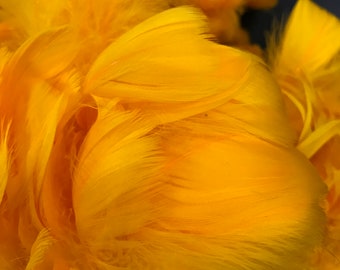feather lei supply Hawaiian Feather Lei hulu, goose .feathers dyed Ilima 4 ounces Prime goose coquille