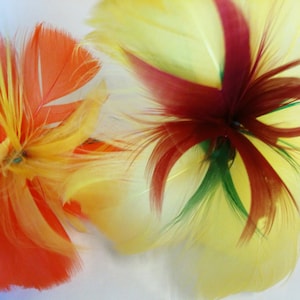 May include: Two feather flowers, one with red, yellow, and green feathers, and the other with orange and yellow feathers.
