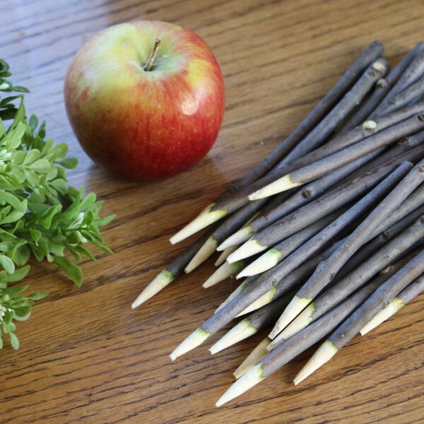 25 Rustic Caramel Apple Sticks/ Natural Wood Sticks for Apples / Maple Sticks / Food Safe Sticks