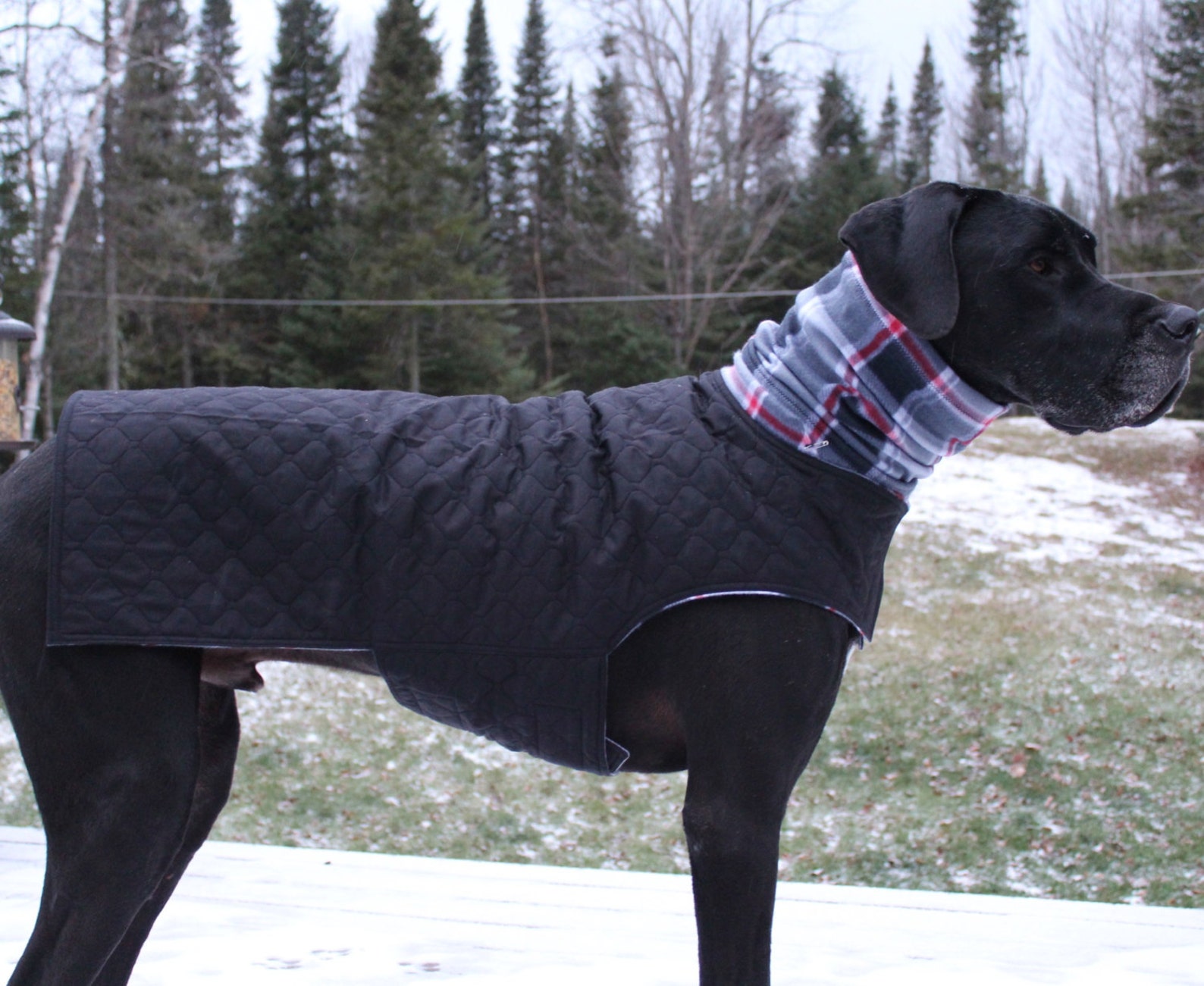 XL Great Dane Dog Jacket w/ Hoodie / XXL Handmade Dog Jacket / Etsy