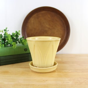 May include: A yellow ceramic planter with a fluted design and a matching saucer. The planter is sitting on a wooden surface.