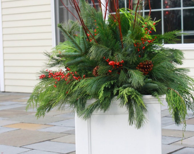 Red Dogwood Branches/ 25 Branches/ Natural Dogwood Twigs/ Red Etsy