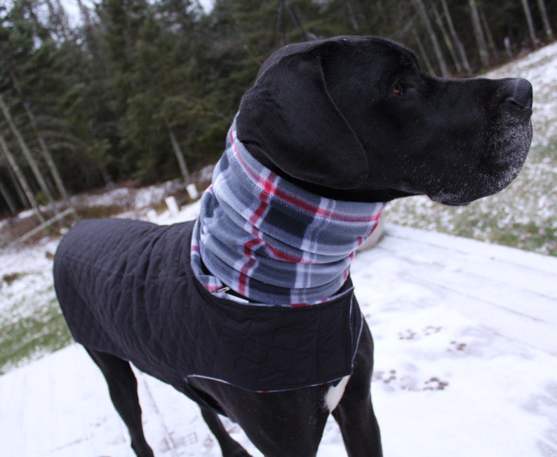 XL Great Dane Dog Jacket w/ Hoodie / XXL Handmade Dog Jacket / Etsy