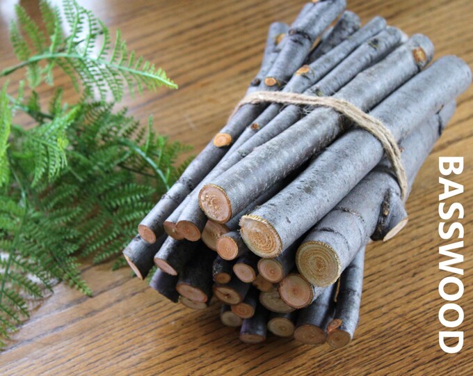 10'' Basswood Sticks 25 Thick / Natural Crafting Etsy