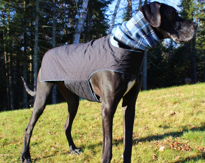 XL Dog Jacket W/ Hoodie / Great Dane Jacket/ XXL Handmade Dog Etsy