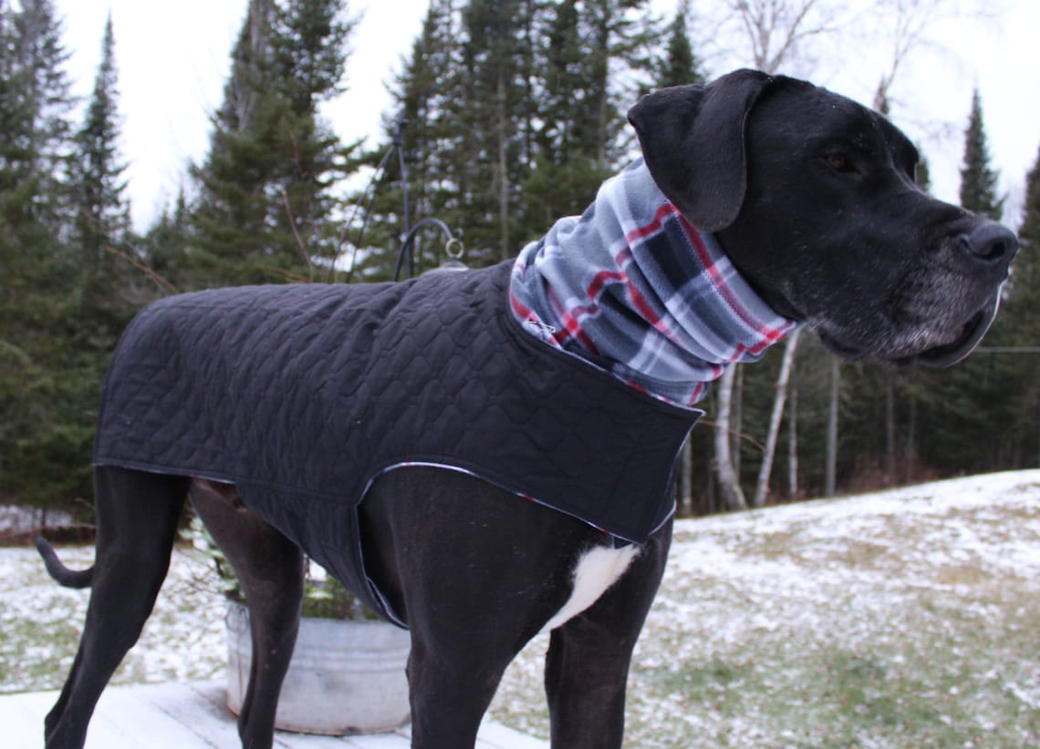 XL Great Dane Dog Jacket w/ Hoodie / XXL Handmade Dog Jacket / Etsy