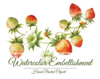 watercolor clipart, hand painted clipart, strawberries clipart, watercolor strawberries, strawberries clipart, strawberries border