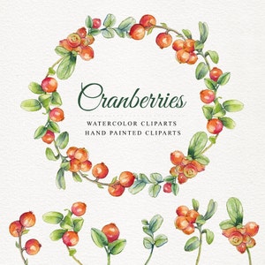 Cranberries, watercolor clipart, hand painted cranberries, cranberries clipart, 7 clipart&#39;s without background, 7 png files - 300 dpi