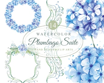 Hand painted , Plumbago floral suite, watercolor clipart, watercolor frames, watercolor suite, 300 dpi, png. files without background