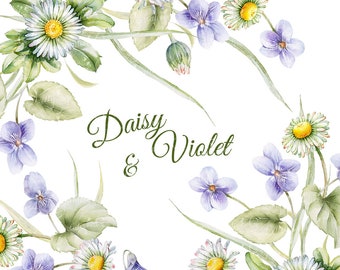 Daisy and Violet.  Hand painted,  watercolors clipart, frame, embelishments & border, 300 dpi, png. files without background