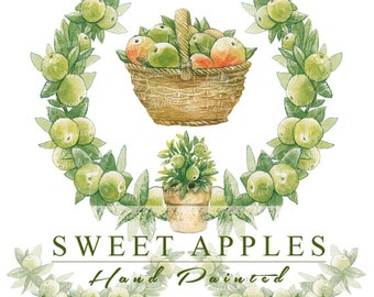Sweet apples, 4 clipart hand-painted, frame, border, basket and sapling, 4 png file. no background, high resolution