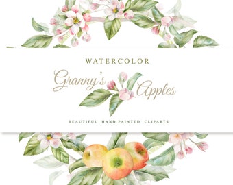 Granny's Apples. Beautiful hand painted cliparts, watercolor, without background, 300 dpi