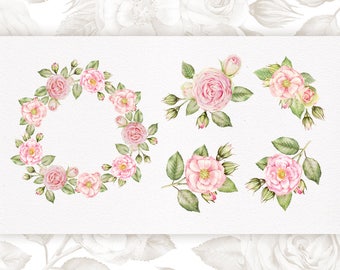 Hand painted roses. Roses. Watercolor Roses. Png file without background. 300 dpi. Wedding Roses